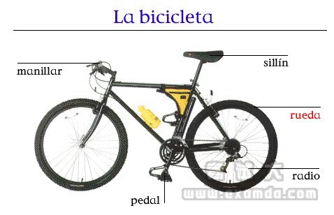 图文:自行车部件西班牙语名称