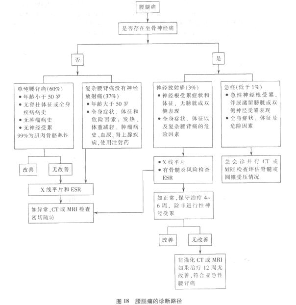 临床助理医师实践技能考试大纲要点:腰腿痛诊