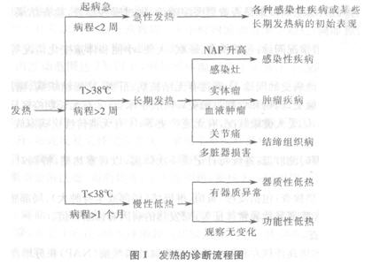 233网校-医师实践技能考试