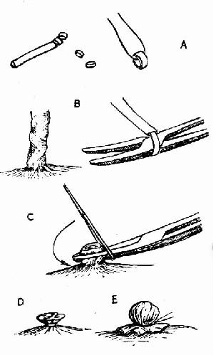 临床执业医师考试