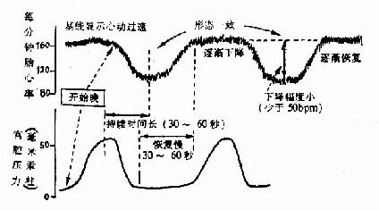 高危儿、高危妊娠的重点监护:临床执业医师考