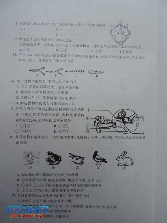 2013泰安中考生物试卷及答案发布 _ 中考 _ 23