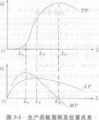 生产函数和生产曲线:2013年中级经济师《经济