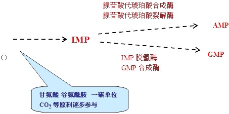 第五节:2015年临床助理医师生物化学复习