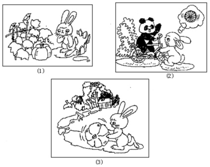 小学二年级看图写话:小白兔运南瓜