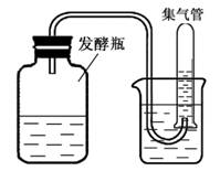 233网校2015年江苏生物试题及答案