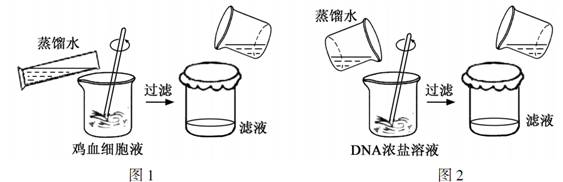 233网校2015年江苏生物试题及答案
