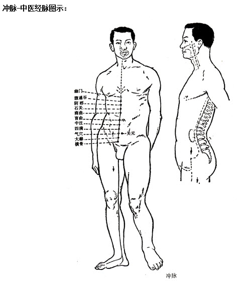 2015年中西执业医师(中医图谱):冲脉 _ 中西医医师 _ 233网校