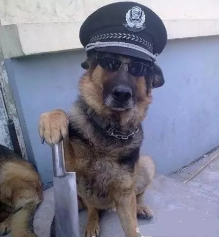 考后轻松一下,银行从业人员表情一览表(请对号