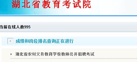 2016年湖北农村义务教育学校教师考试成绩查