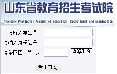 山东成人高考成绩查询入口:山东省教育考试院