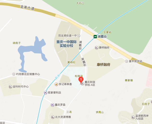 2019年重庆注册会计师全国统一考试报名简章