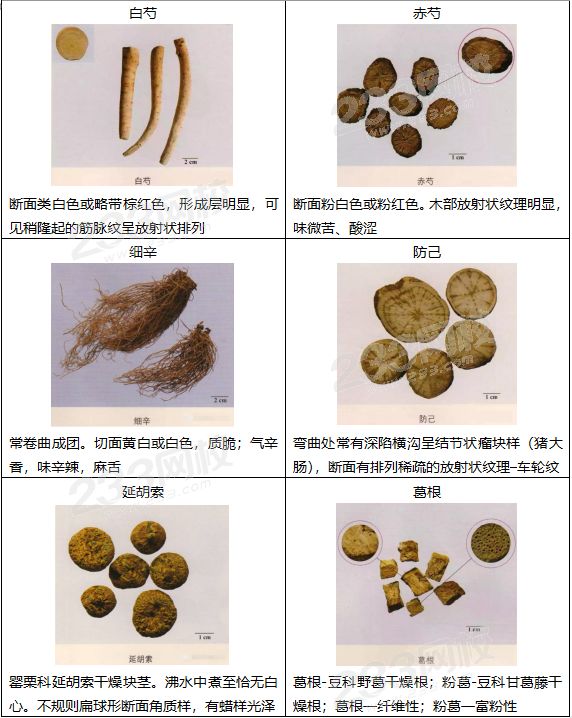 考点包括中药性状的鉴别,看图识药,中药的来源产地等.
