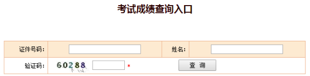 2020年中级安全工程师成绩查询入口