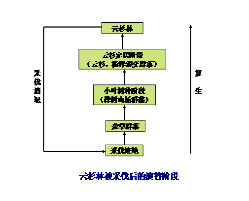 2013年成考专升本《生态学基础》复习：第十章  群落的报考