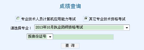 天津2013年执业药师考试成绩查询入口 点击进入