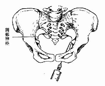临床执业医师考试妇科学辅导:第二产程的临床