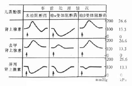 在给肾上腺素受体阻断药前后，<a href=