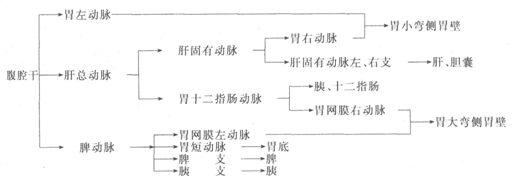 2015年成人高考《医学综合》第一部分第九章考点及试题