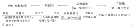 2015年成人高考《医学综合》第一部分第十二章考点及试题