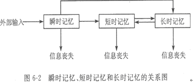 小教育心理学精讲班讲义:第六章第三节