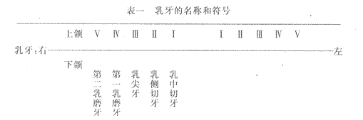 2014年成人高考专升本《医学综合》人体解剖学第4章辅导讲义