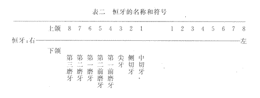 2014年成人高考专升本《医学综合》人体解剖学第4章辅导讲义