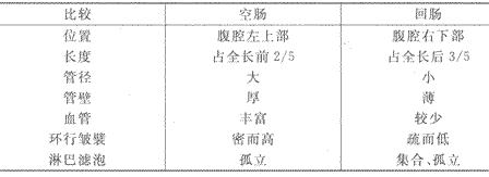 2014年成人高考专升本《医学综合》人体解剖学第4章辅导讲义