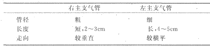 2014年成人高考专升本《医学综合》人体解剖学第5章辅导讲义