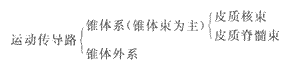 2014年成人高考专升本《医学综合》人体解剖学第12章辅导讲义