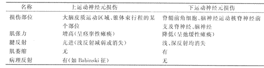 2014年成人高考专升本《医学综合》人体解剖学第12章辅导讲义