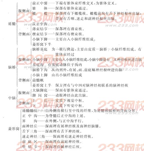 2014年成人高考专升本《医学综合》人体解剖学第12章辅导讲义