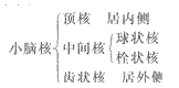 2014年成人高考专升本《医学综合》人体解剖学第12章辅导讲义