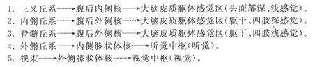 2014年成人高考专升本《医学综合》人体解剖学第12章辅导讲义