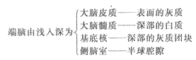 2014年成人高考专升本《医学综合》人体解剖学第12章辅导讲义