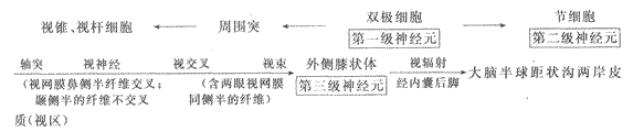 2014年成人高考专升本《医学综合》人体解剖学第12章辅导讲义