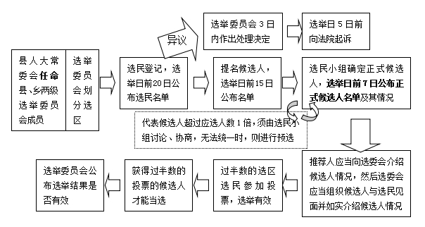 直接选举流程