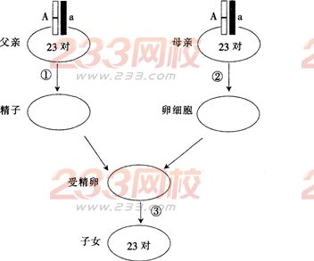 2015年教师资格证考试《生物学科知识与教学能力》(初级中学)模拟试题(2)