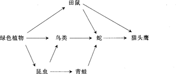 2015年教师资格证考试《生物学科知识与教学能力》(初级中学)模拟试题(5)