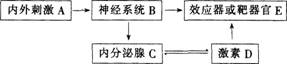 2015年教师资格证考试《生物学科知识与教学能力》(高级中学)模拟试题(2)