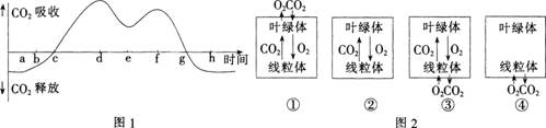 2015年教师资格证考试《生物学科知识与教学能力》(高级中学)模拟试题(2)