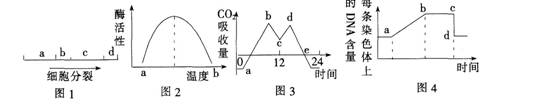 2015年教师资格证考试《生物学科知识与教学能力》(高级中学)模拟试题(3)