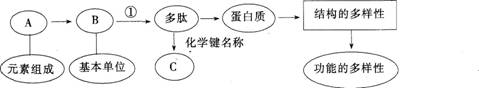 2015年教师资格证考试《生物学科知识与教学能力》(高级中学)模拟试题(5)