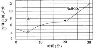 2015年教师资格证考试《生物学科知识与教学能力》(高级中学)模拟试题(5)