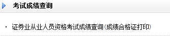 2015年11月证券从业资格考试成绩查询入口