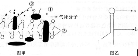 2016年教师资格证考试生物学科知识与教学能力(高级中学)深度押密卷(1)