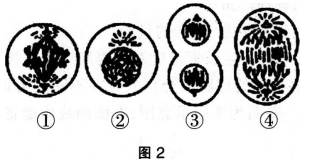 2016年教师资格证考试生物学科知识与教学能力(高级中学)深度押密卷(1)