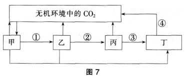 2016年教师资格证考试生物学科知识与教学能力(高级中学)深度押密卷(1)