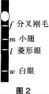 2016年教师资格证考试生物学科知识与教学能力(高级中学)深度押密卷(2)