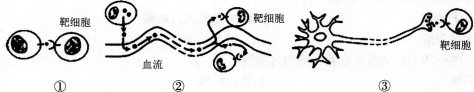 2016年教师资格证考试生物学科知识与教学能力(高级中学)深度押密卷(4)